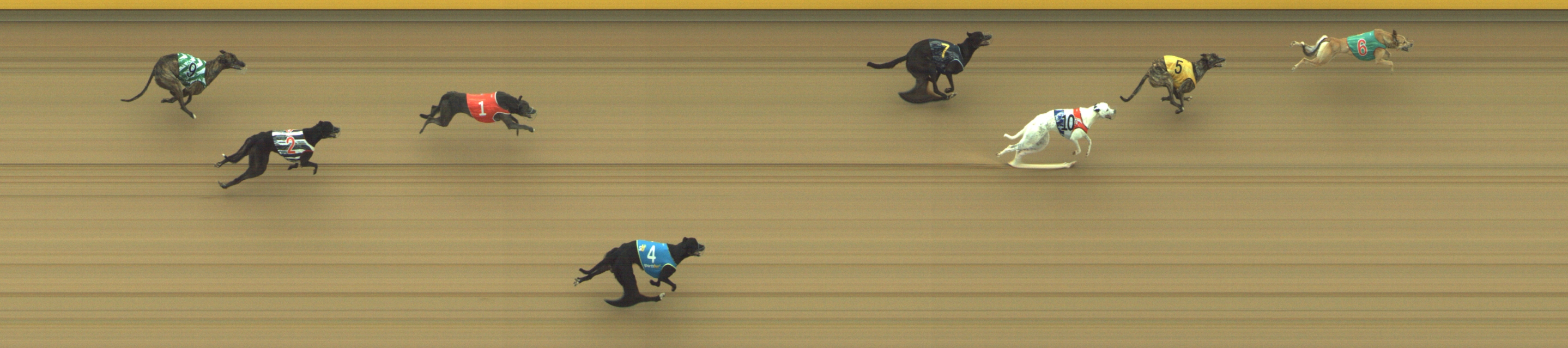 Photo finish for Geelong Race 2