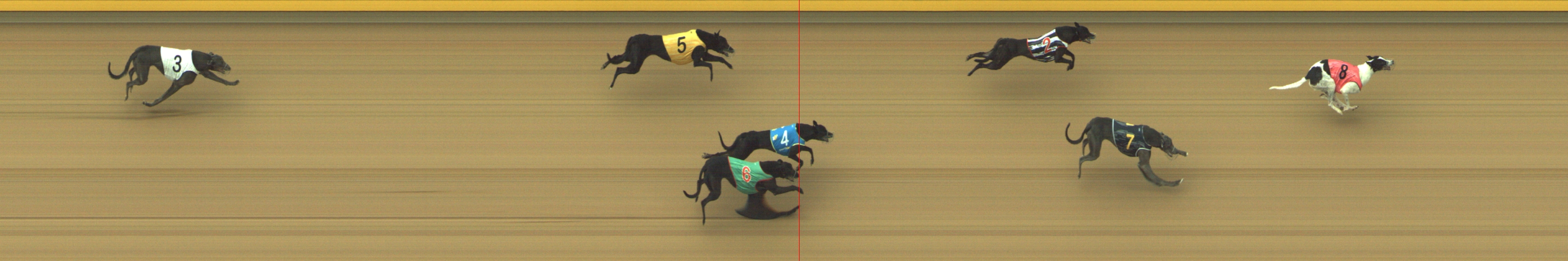 Photo finish for Geelong Race 3