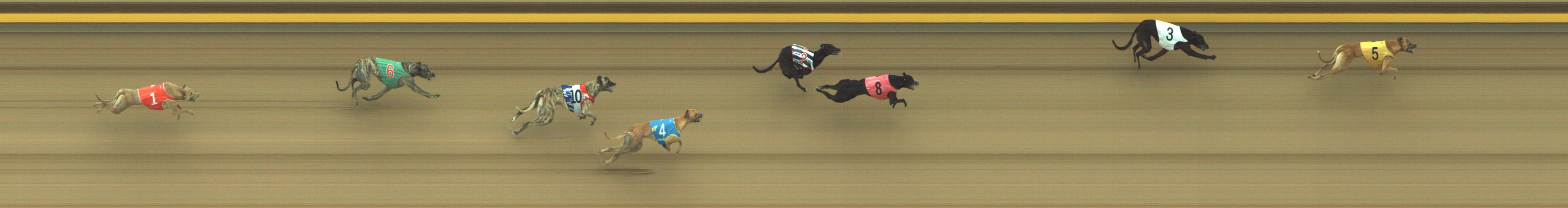 Photo finish for Geelong Race 4