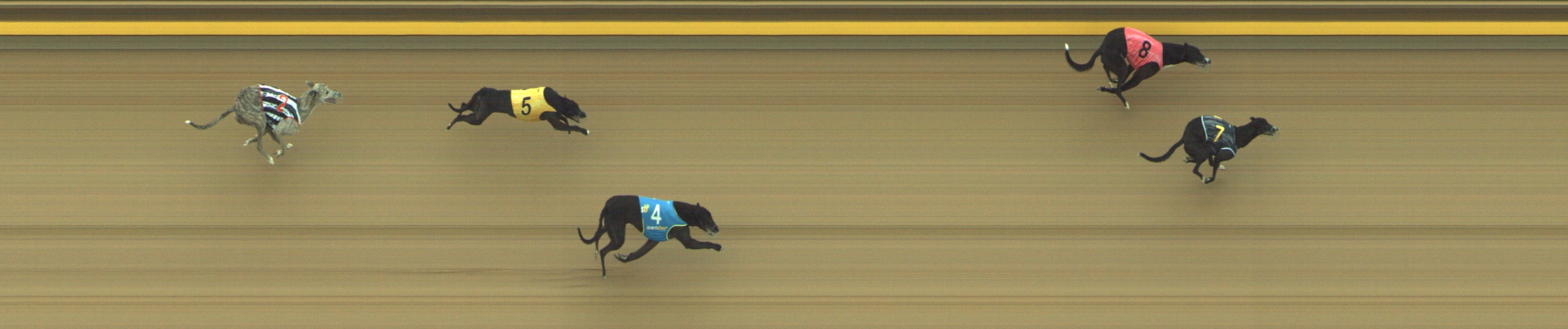 Photo finish for Geelong Race 5