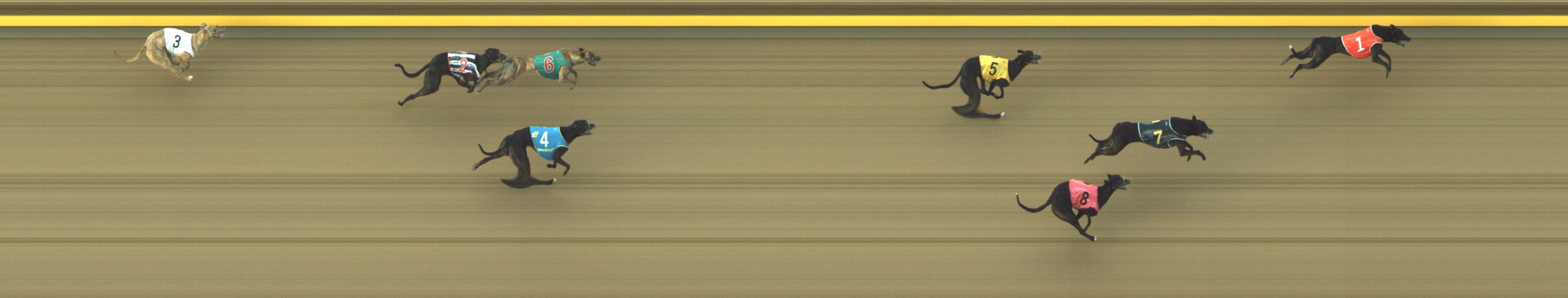 Photo finish for Geelong Race 6