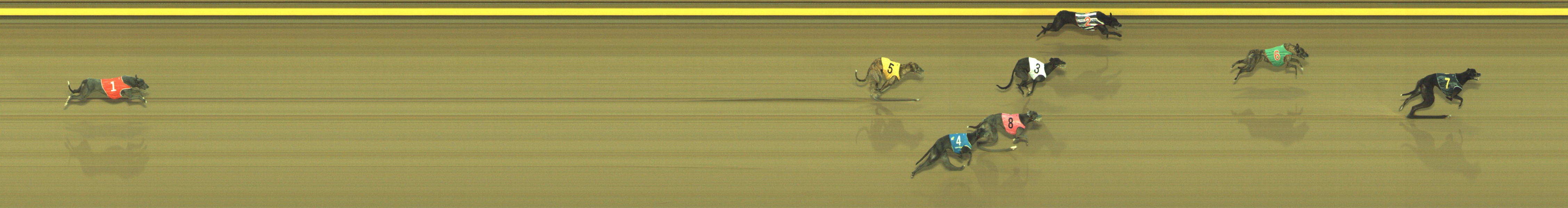 Photo finish for Geelong Race 7