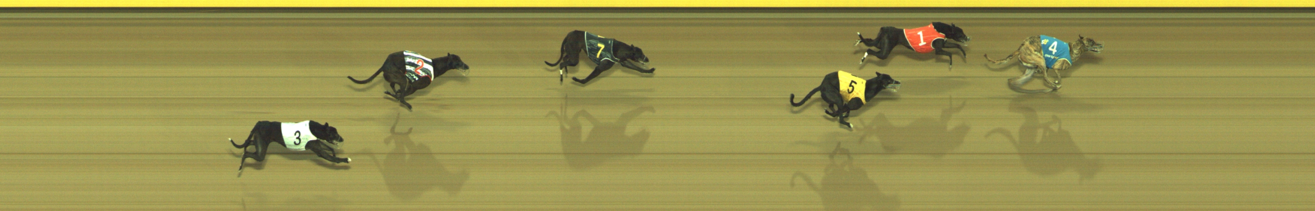 Photo finish for Geelong Race 8