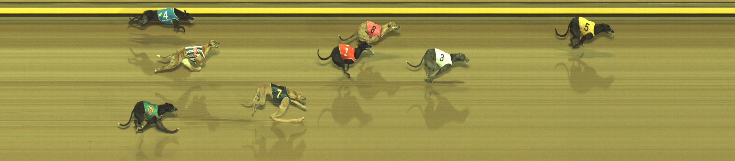Photo finish for Geelong Race 9