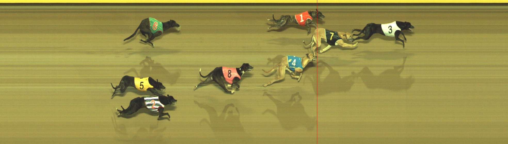 Photo finish for Geelong Race 10