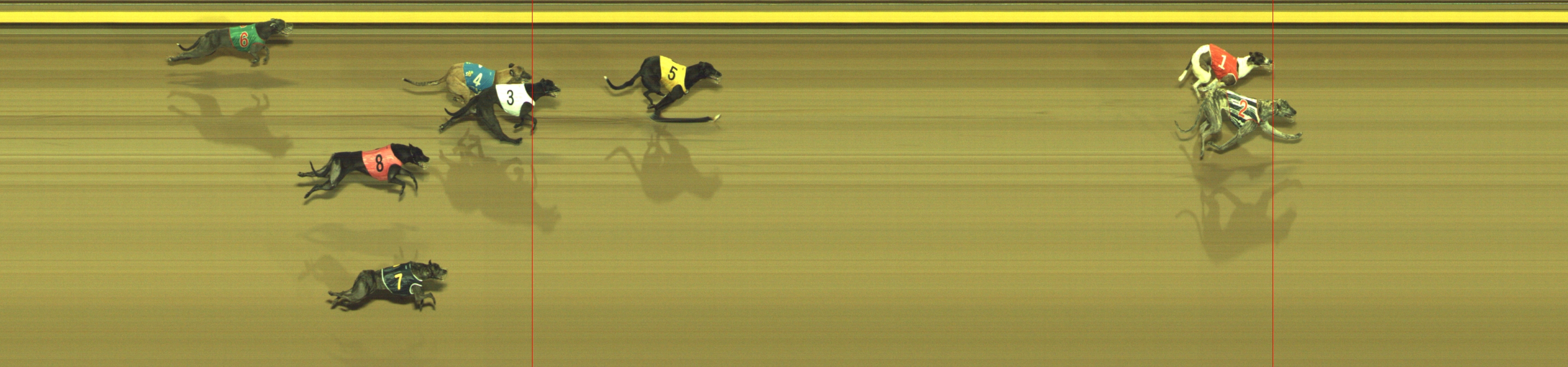 Photo finish for Geelong Race 11