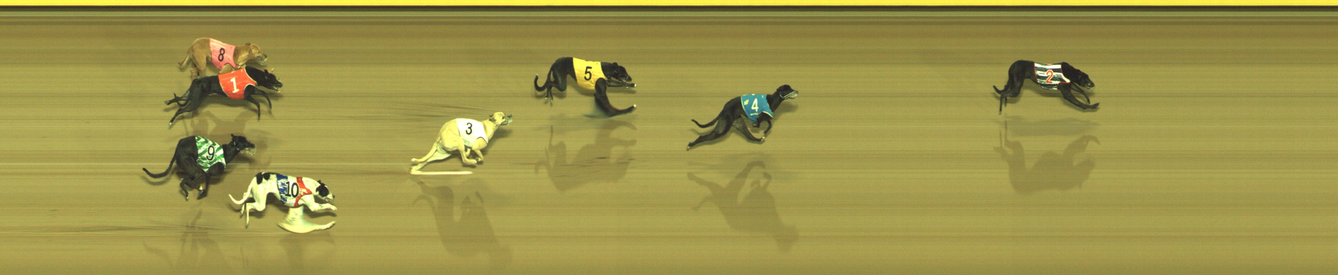 Photo finish for Geelong Race 12