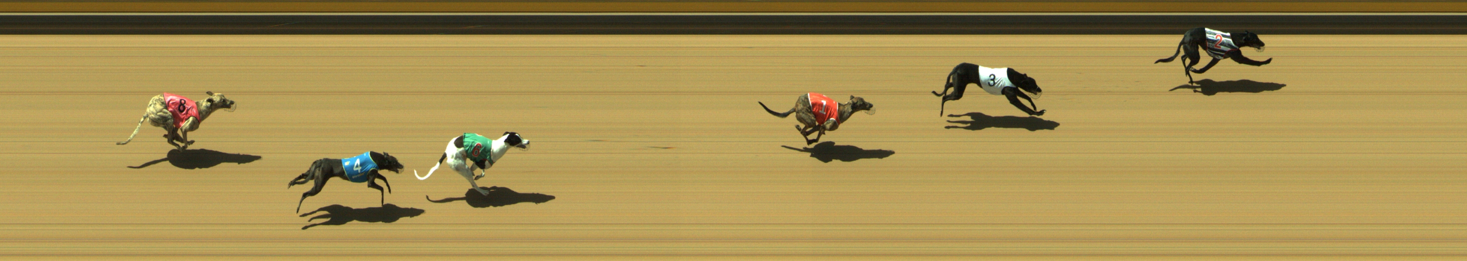 Race result finish photo