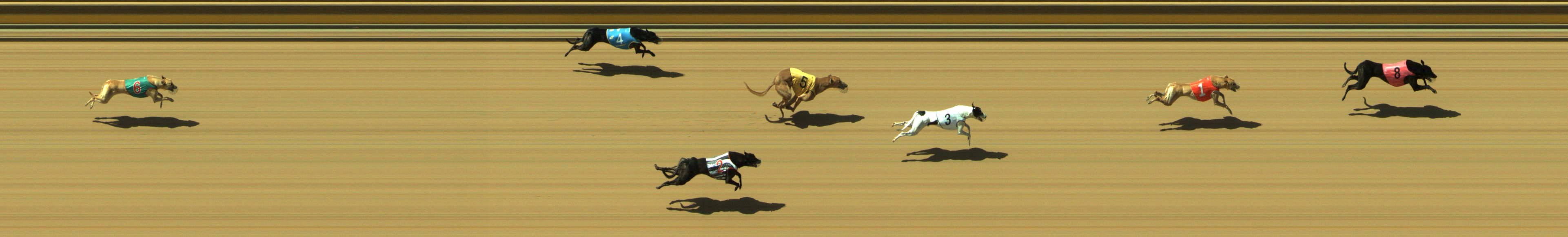 Race result finish photo