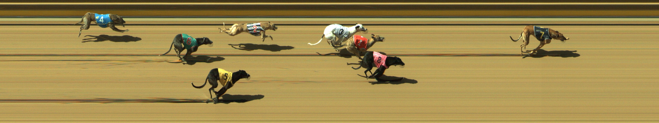 Race result finish photo