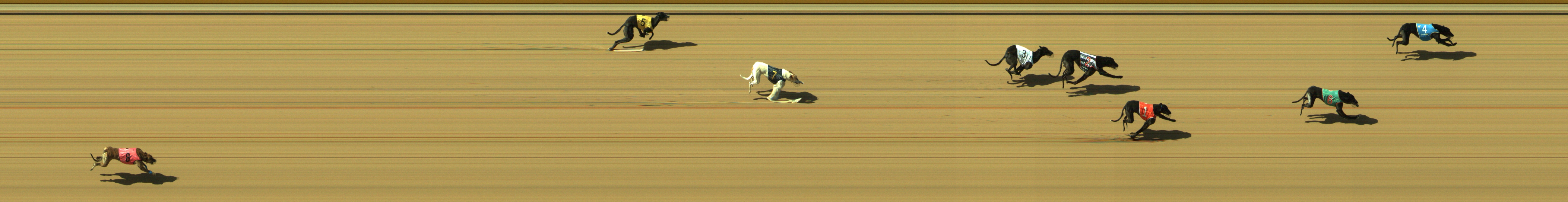 Race result finish photo