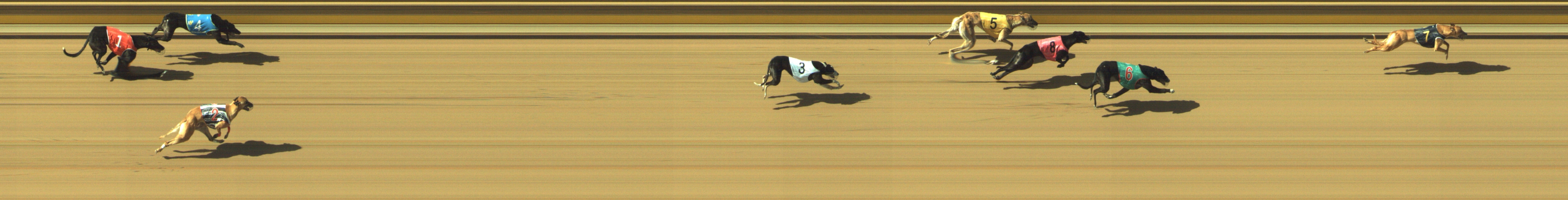 Race result finish photo