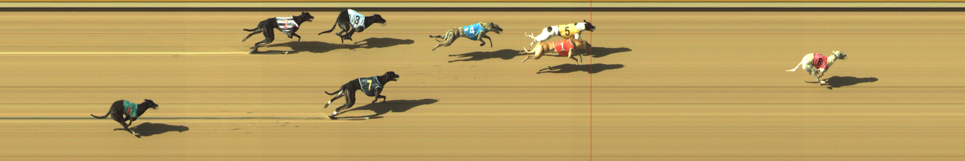 Race result finish photo