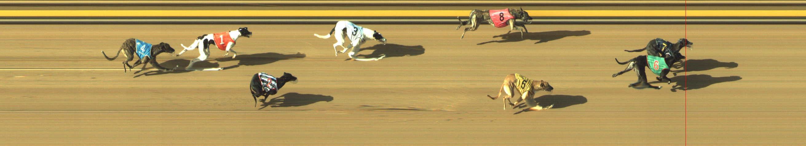 Race result finish photo