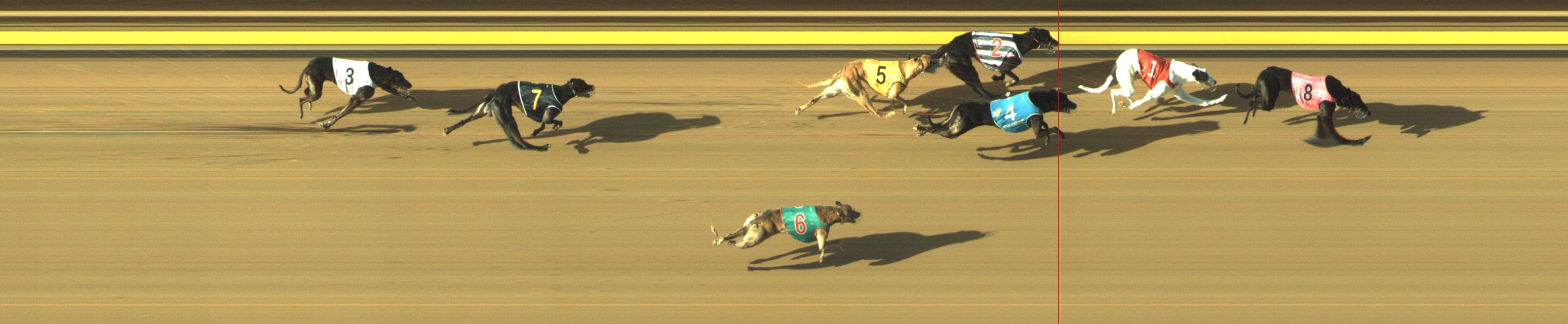 Race result finish photo