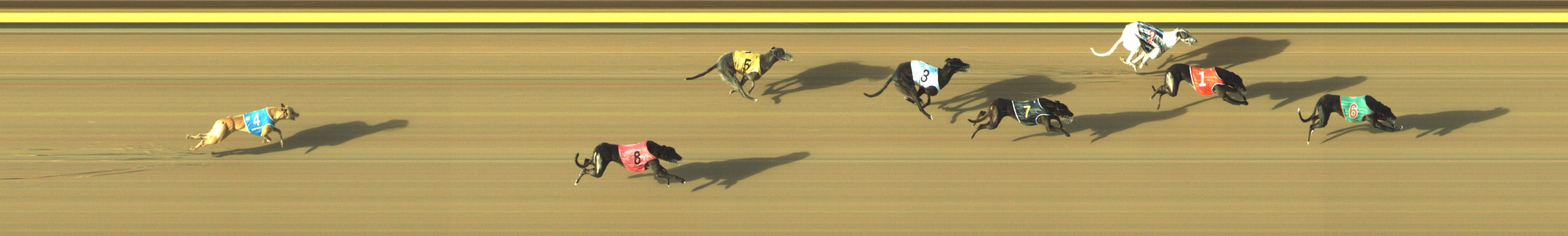 Race result finish photo