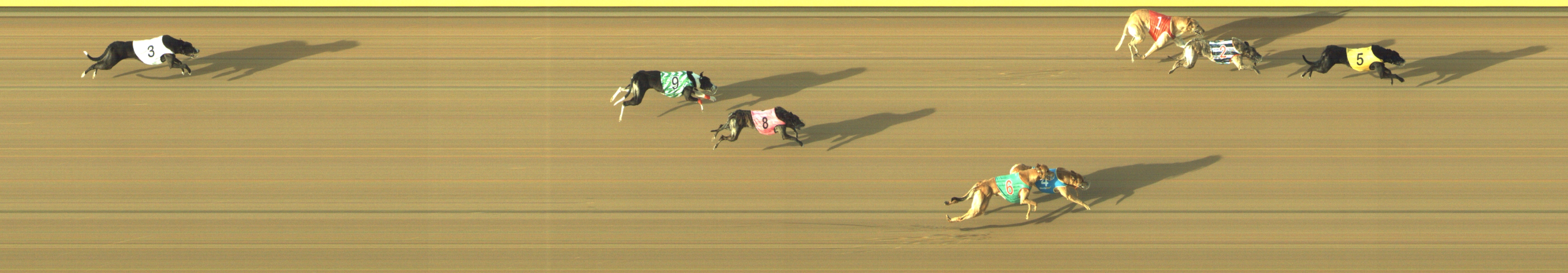 Race result finish photo