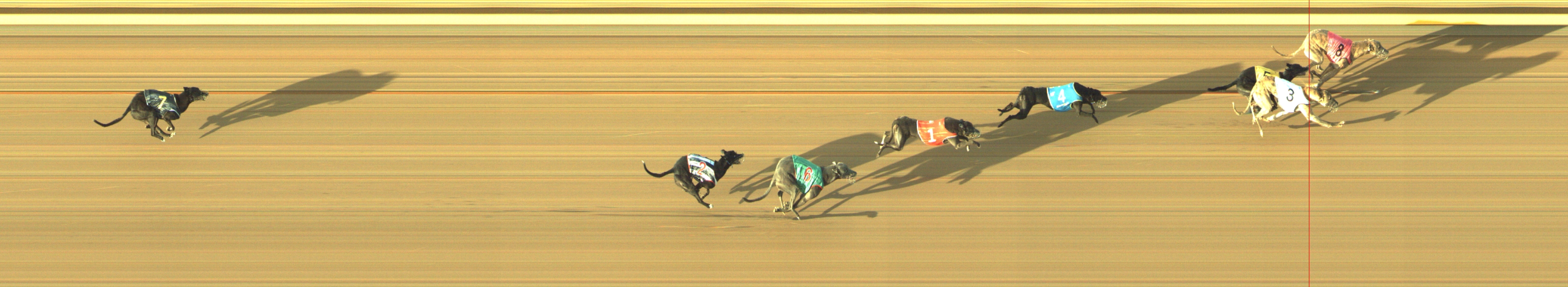 Race result finish photo