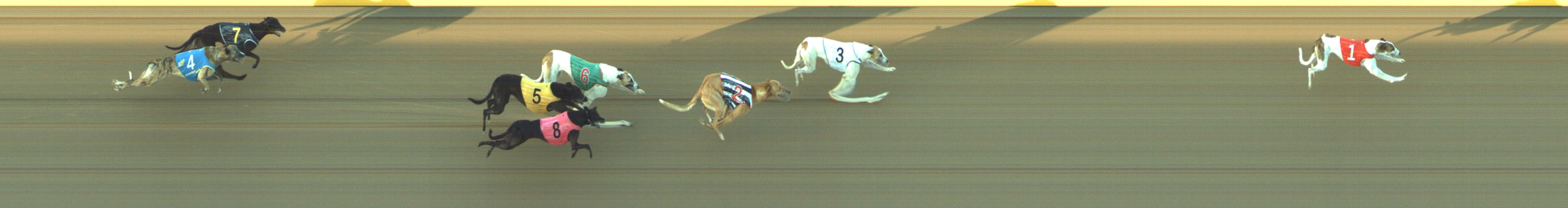 Photo finish for Geelong Race 3