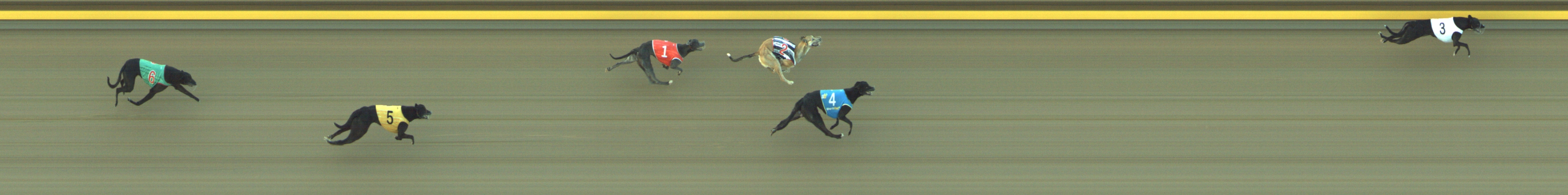Photo finish for Geelong Race 4