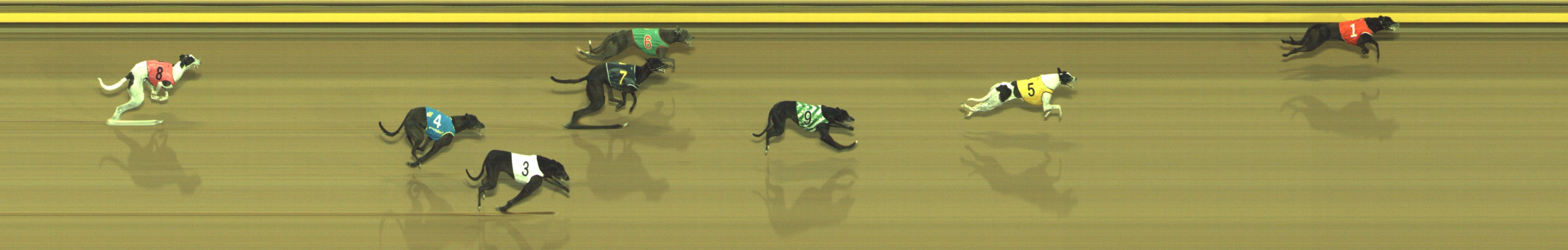 Photo finish for Geelong Race 5