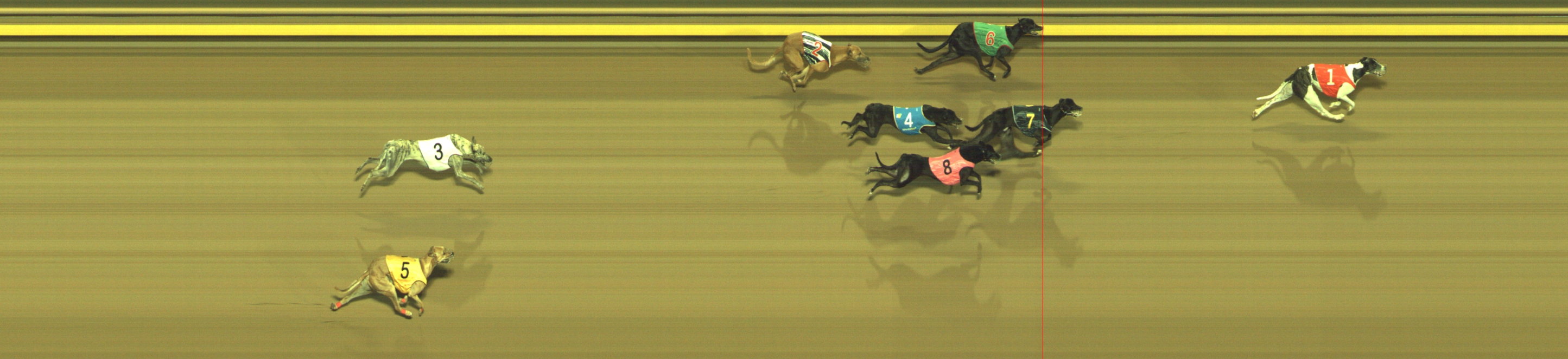 Photo finish for Geelong Race 6