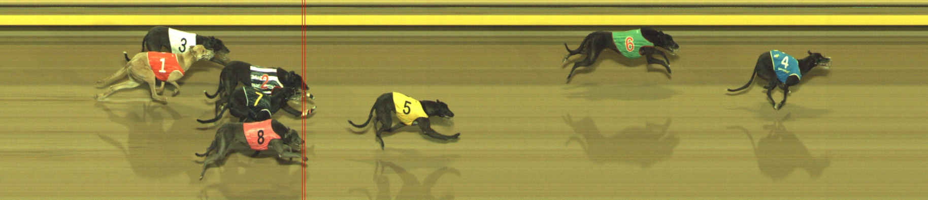 Photo finish for Geelong Race 7