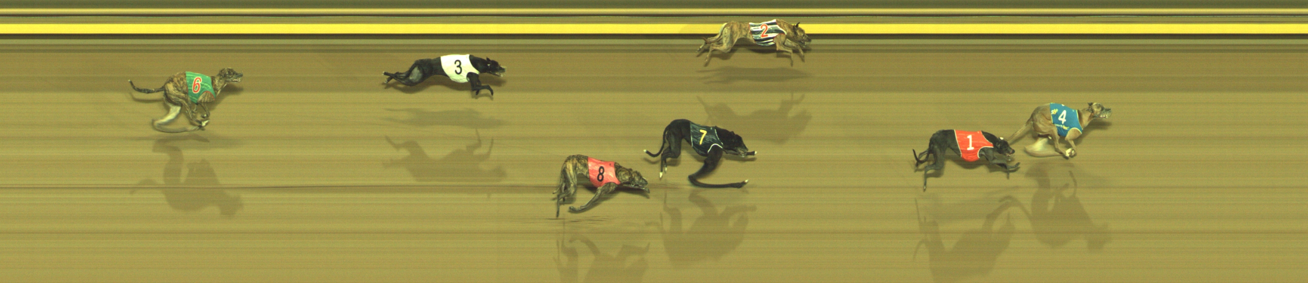 Photo finish for Geelong Race 8