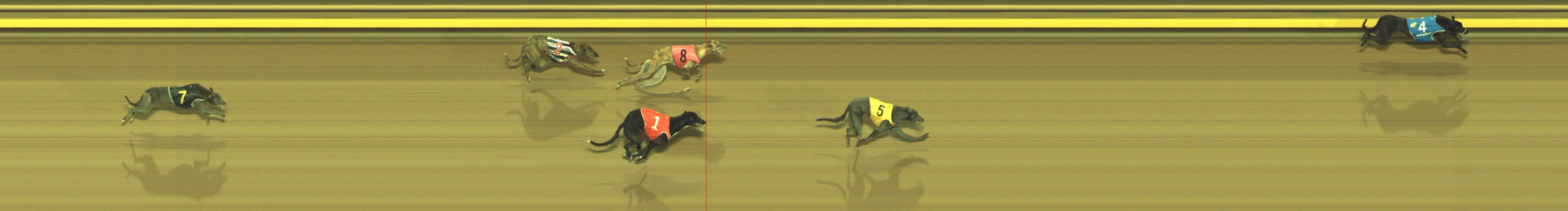 Photo finish for Geelong Race 9