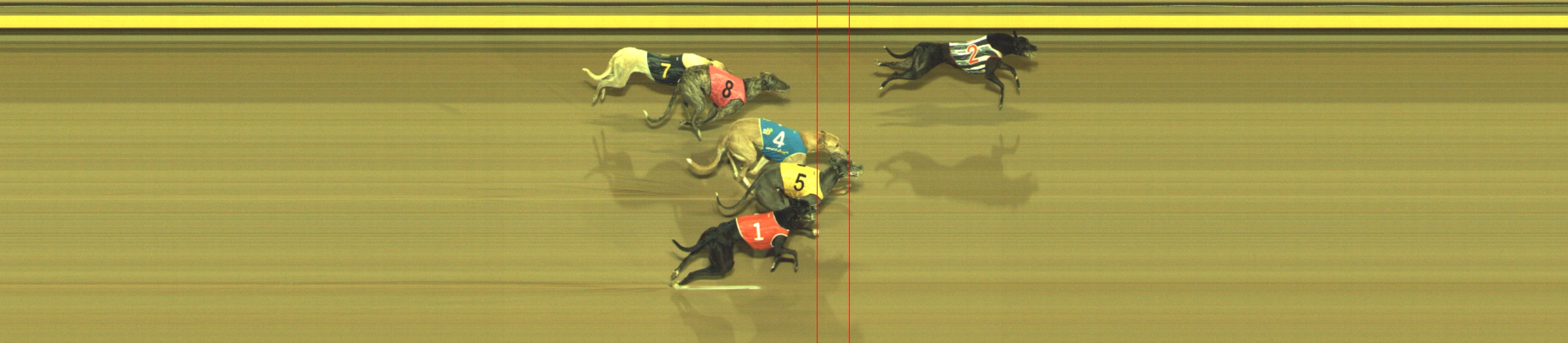 Photo finish for Geelong Race 10
