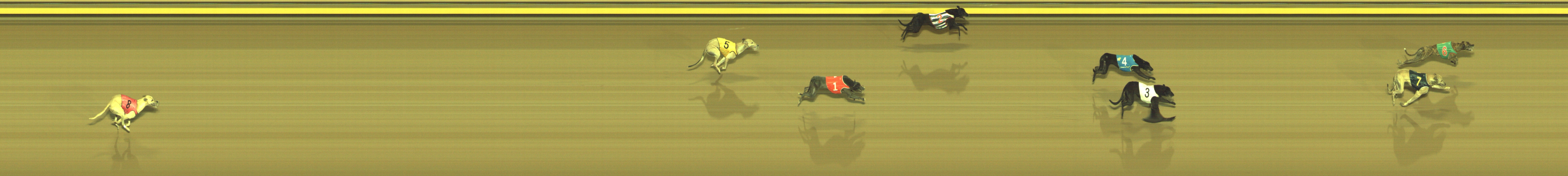 Photo finish for Geelong Race 11