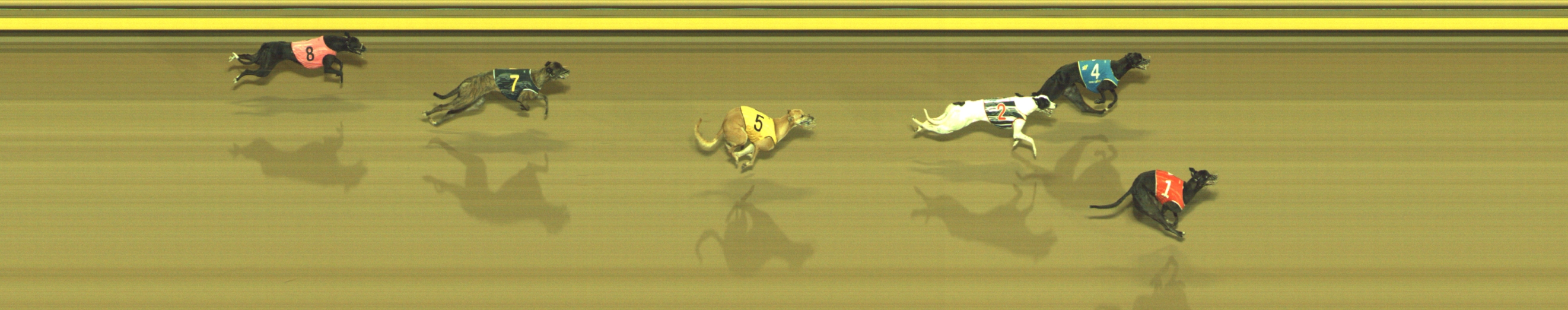 Photo finish for Geelong Race 12