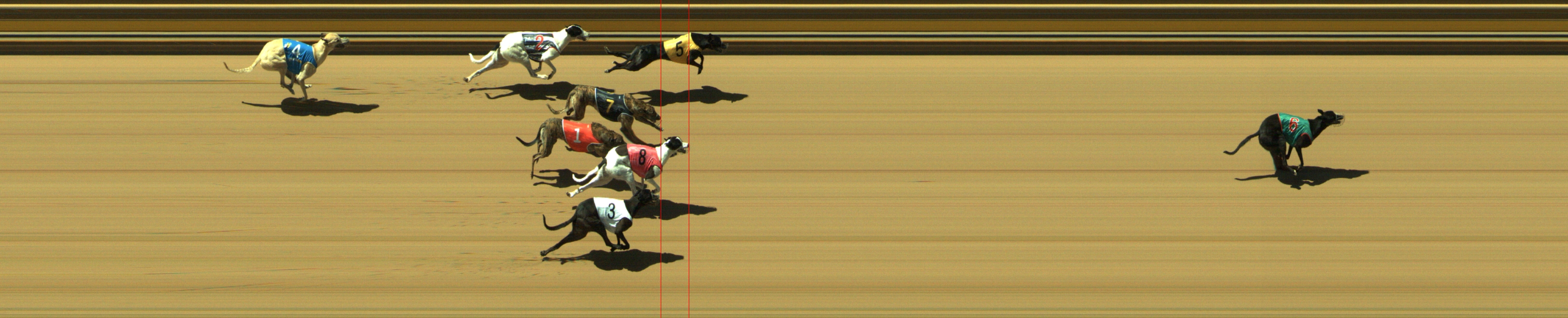 Race result finish photo