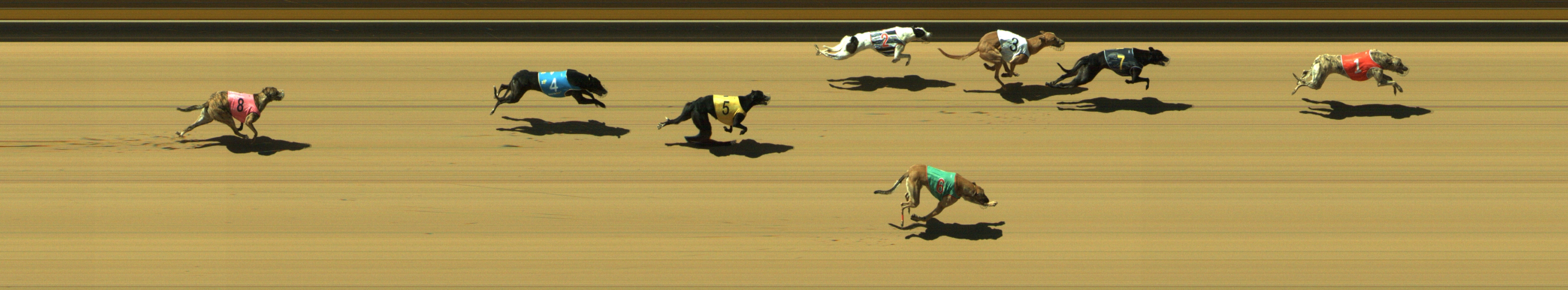 Race result finish photo