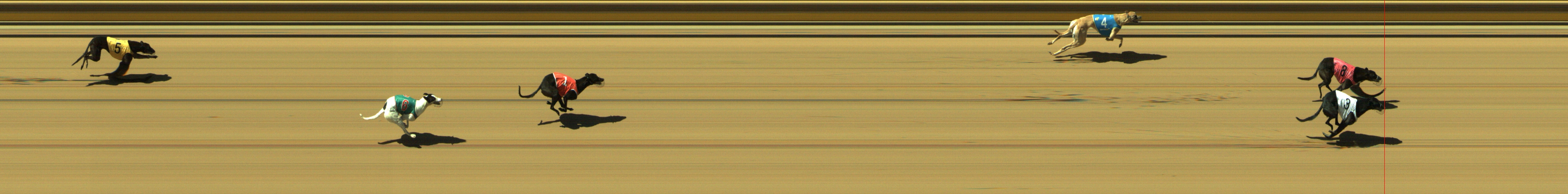 Race result finish photo