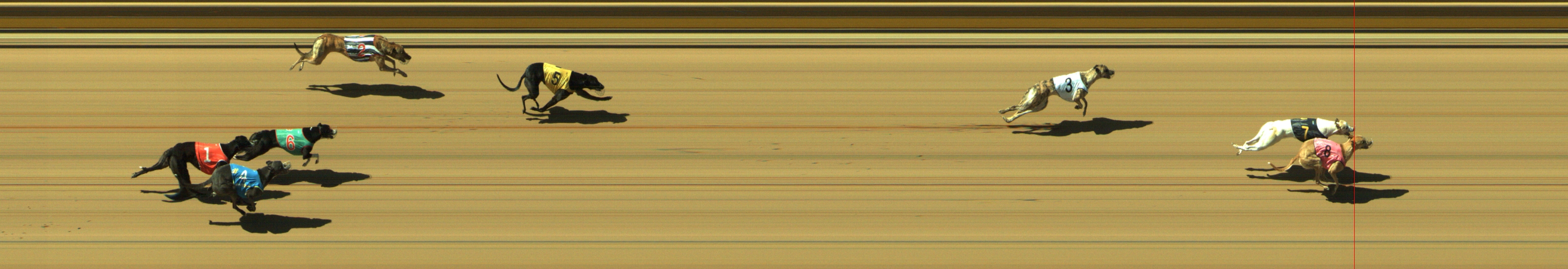 Race result finish photo