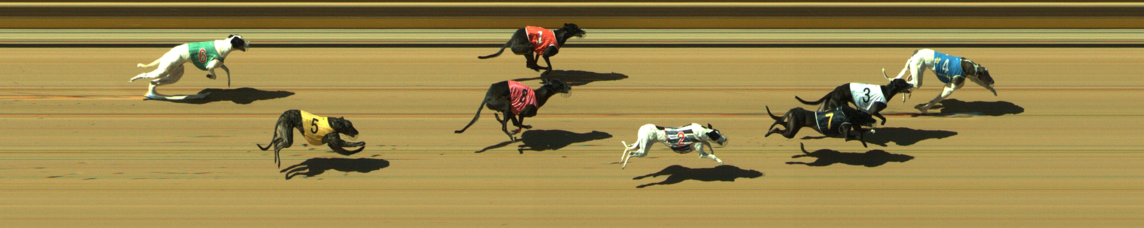 Race result finish photo