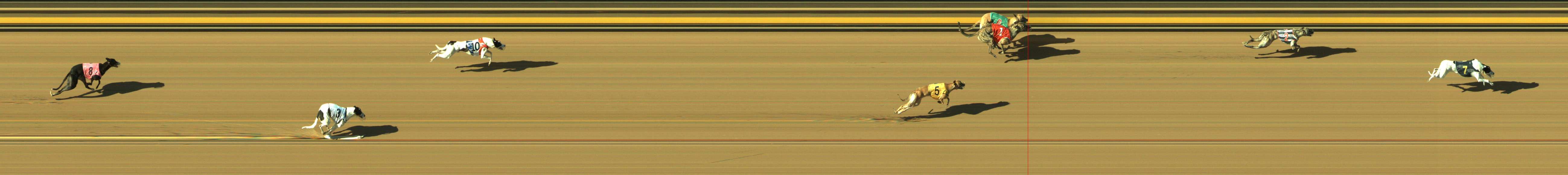 Race result finish photo