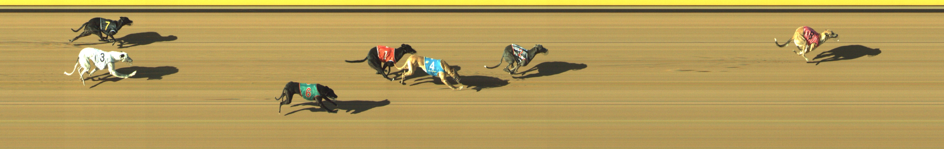 Race result finish photo