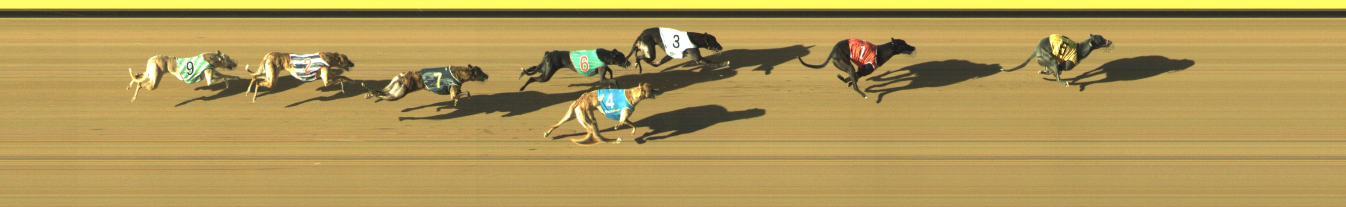 Race result finish photo