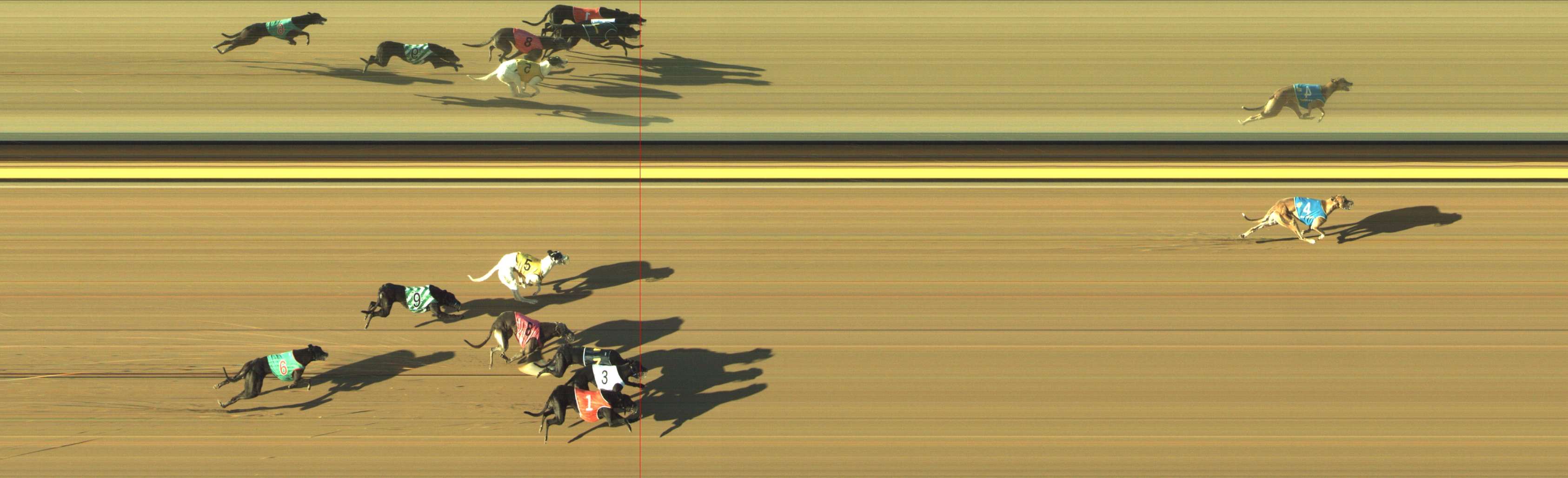 Race result finish photo