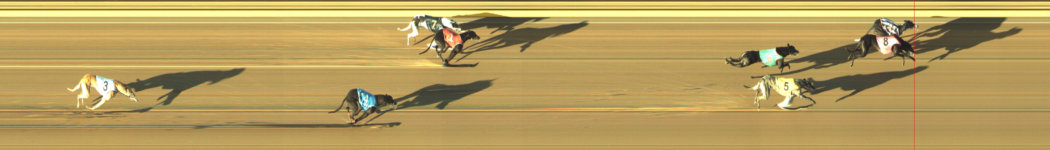 Race result finish photo