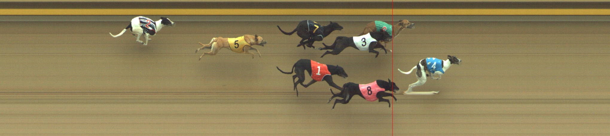 Photo finish for Geelong Race 2