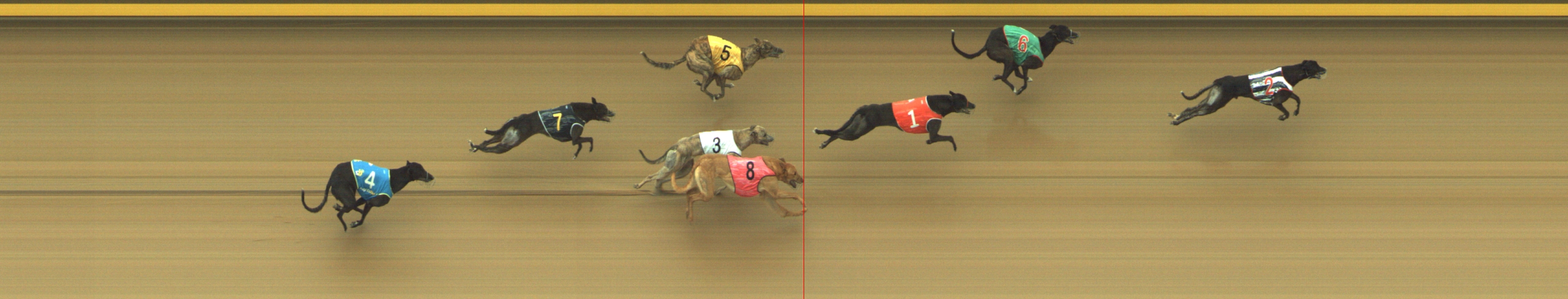Photo finish for Geelong Race 3