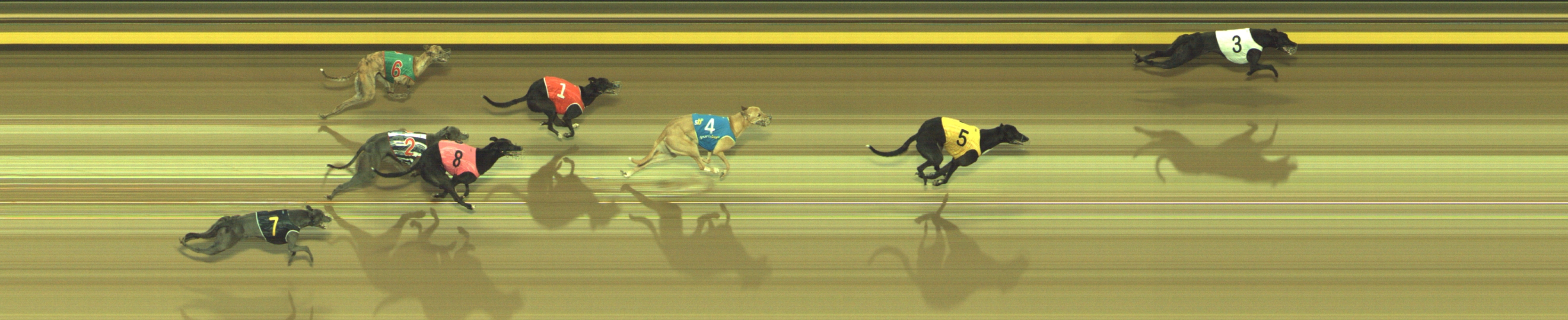 Photo finish for Geelong Race 4