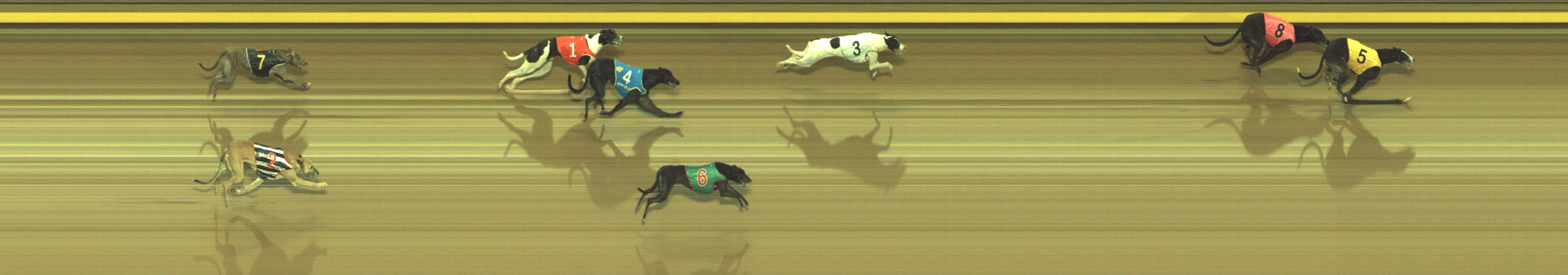 Photo finish for Geelong Race 5