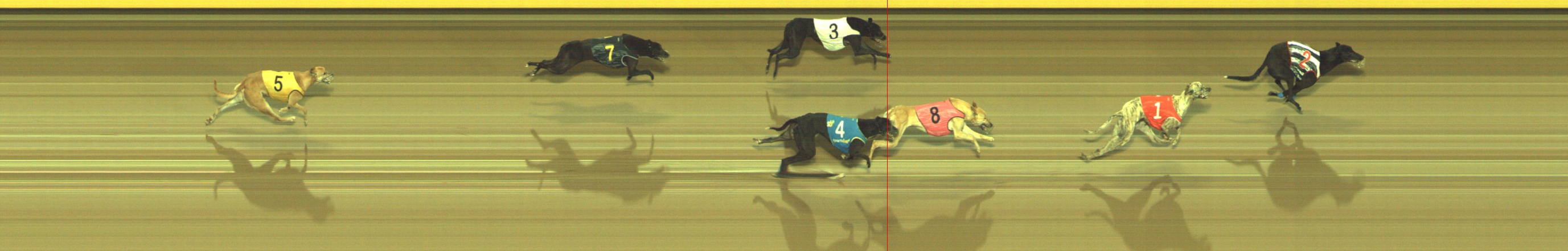 Photo finish for Geelong Race 6