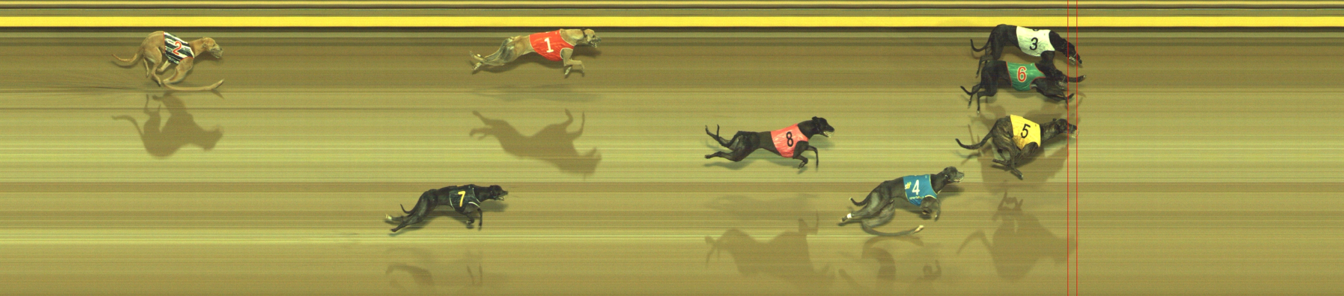 Photo finish for Geelong Race 7