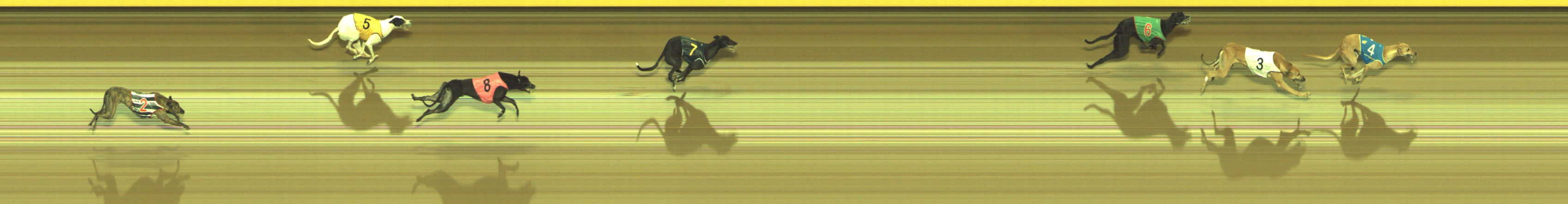 Photo finish for Geelong Race 8