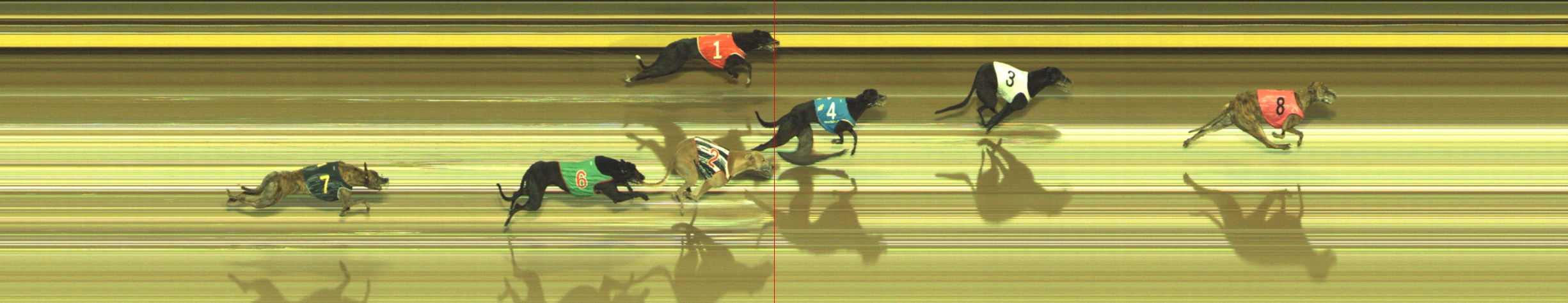 Photo finish for Geelong Race 9